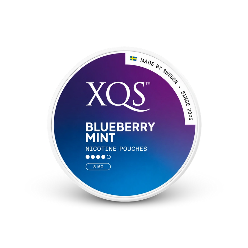 XQS Blueberry Mint Strong – lata de bolsitas de nicotina